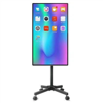 55 Inch Web Broadcasting All in One Display